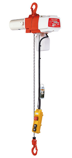 Tipo ED, Portate da 60 kg a 480 kg, Con pulsantiera