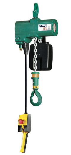 Tipo PROFI/1G, Con gancio di sospensione, Portate da 250 kg a 100 t