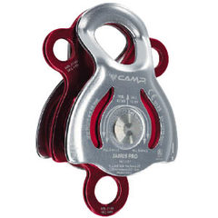Janus Pro